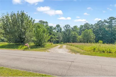 230 N Rover Road, Williamson, GA 30292 - Photo 77