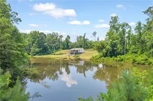 230 N Rover Rd, Williamson, GA 30292 - Photo 71