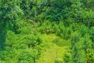 230 N Rover Rd, Williamson, GA 30292 - Photo 83