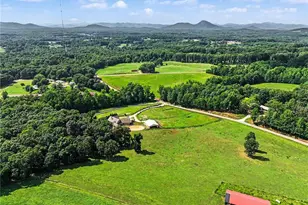 1050 Ricky West Rd, Cleveland, GA 30528 - Photo 59