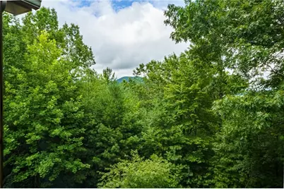 51 Hightower Trail, Hiawassee, GA 30546 - Photo 61