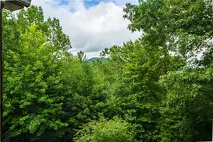 51 Hightower Trail, Hiawassee, GA 30546 - Photo 61
