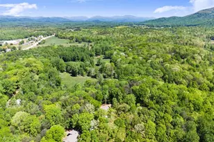 45 Holcomb Dr, Cleveland, GA 30528 - Photo 125