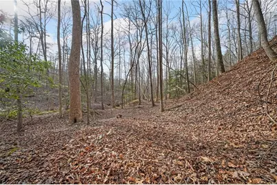 49 Old Stamp Mill Road, Dahlonega, GA 30533 - Photo 13