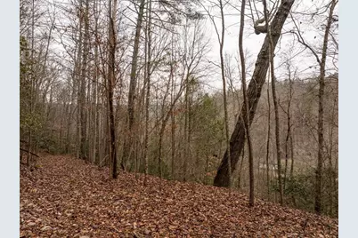 377 Soldiers Path, Dahlonega, GA 30533 - Photo 7