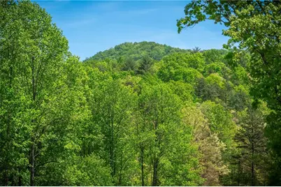 Lt4-4A Waterstone Way, Mineral Bluff, GA 30559 - Photo 1