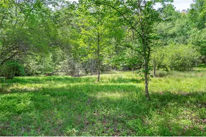 Lt5-5A Jonica Gap Road, Mineral Bluff, GA 30559 - Photo 3