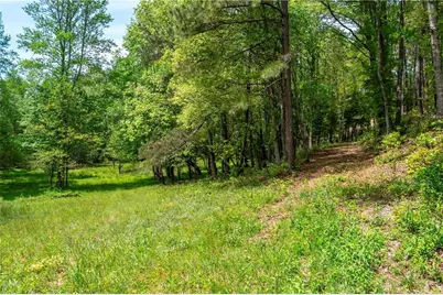 Lt5-5A Jonica Gap Road, Mineral Bluff, GA 30559 - Photo 11
