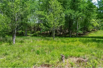 Lt5-5A Jonica Gap Road, Mineral Bluff, GA 30559 - Photo 5