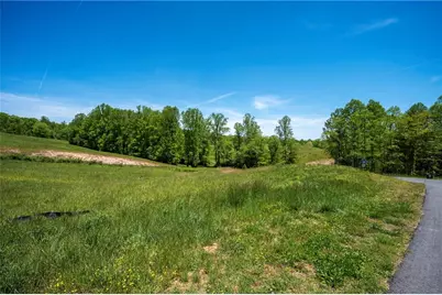 Lot 15 Jonica Gap Road, Mineral Bluff, GA 30559 - Photo 7
