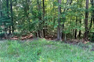 00 Alpine 3625 Dr, Ellijay, GA 30540 - Photo 1