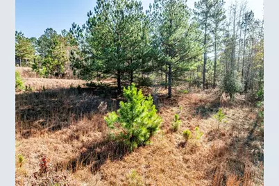 0 N Indian Trail Road, Sandersville, GA 31082 - Photo 19