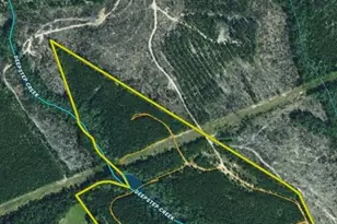 0 N Indian Trail Rd, Sandersville, GA 31082 - Photo 1