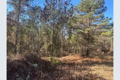 0 N Indian Trail Road, Sandersville, GA 31082 - Photo 17