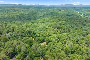 92 Bamby Ln, Ellijay, GA 30540 - Photo 65