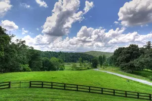 246 Bearden Farm Overlook, Blue Ridge, GA 30513 - Photo 51