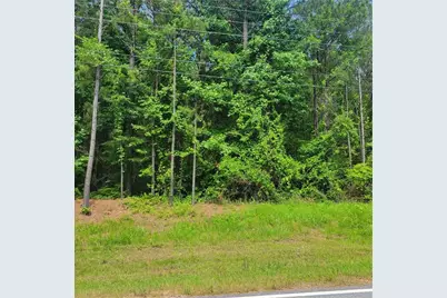 00 Bohannon Road, Grantville, GA 30220 - Photo 3