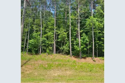 00 Bohannon Road, Grantville, GA 30220 - Photo 1