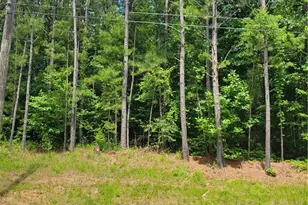 00 Bohannon Rd, Grantville, GA 30220 - Photo 1