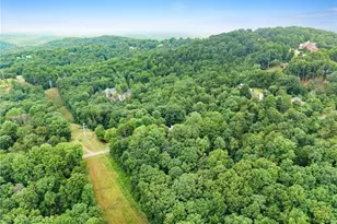 195 Golden Ave, Dahlonega, GA 30533 - Photo 53