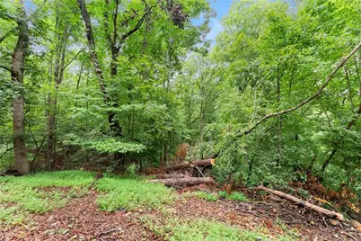 195 Golden Avenue, Dahlonega, GA 30533 - Photo 41