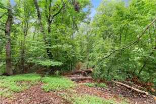 195 Golden Ave, Dahlonega, GA 30533 - Photo 41