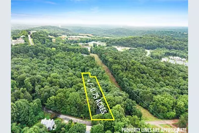 195 Golden Avenue, Dahlonega, GA 30533 - Photo 49