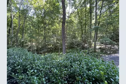 988 Rocktree Road, Dahlonega, GA 30533 - Photo 33