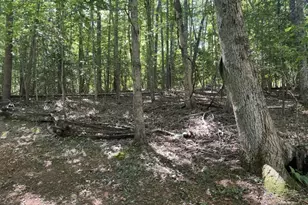 988 Rocktree Rd, Dahlonega, GA 30533 - Photo 39