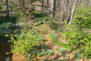988 Rocktree Rd, Dahlonega, GA 30533 - Photo 49