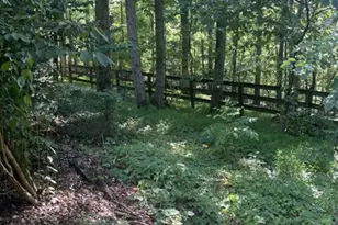 988 Rocktree Rd, Dahlonega, GA 30533 - Photo 53
