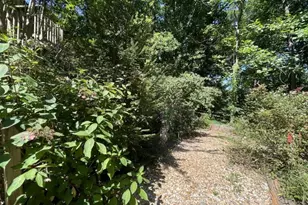 988 Rocktree Rd, Dahlonega, GA 30533 - Photo 37
