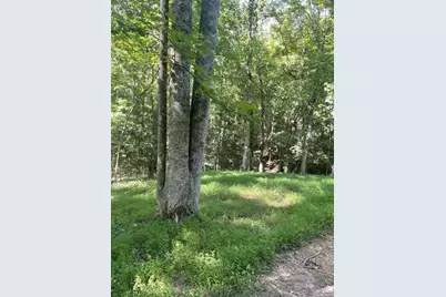 988 Rocktree Road, Dahlonega, GA 30533 - Photo 51