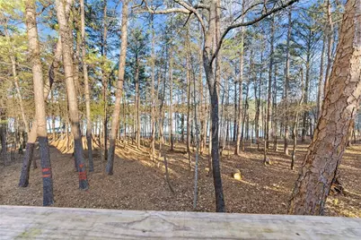 [Address not provided], Toccoa, GA 30577 - Photo 47