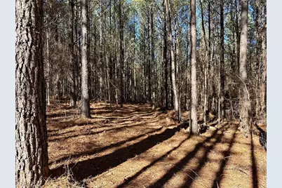 [Address not provided], Dahlonega, GA 30533 - Photo 5