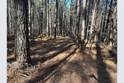 [Address not provided], Dahlonega, GA 30533 - Photo 9
