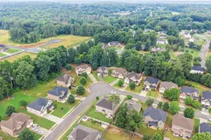 354 Astoria Ways, McDonough, GA 30253 - Photo 33