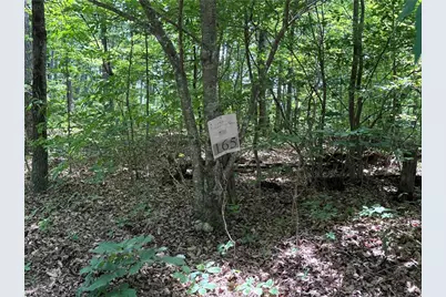 165 St Andrews Way, Ellijay, GA 30143 - Photo 3
