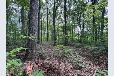 165 St Andrews Way, Ellijay, GA 30143 - Photo 7
