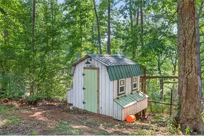 169 Rusty G Place, Dawsonville, GA 30534 - Photo 59