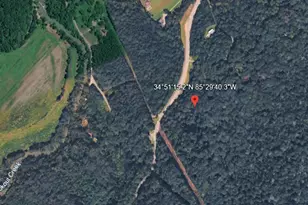 0 State Rte 136, Rising Fawn, GA 30738 - Photo 1