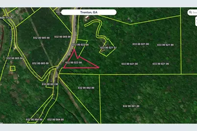 0 State Rte 136, Rising Fawn, GA 30738 - Photo 3