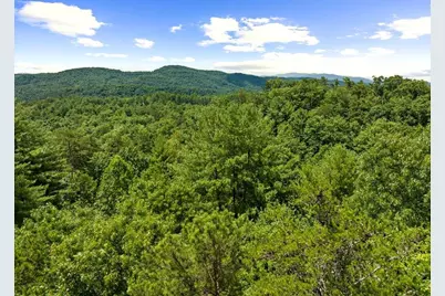 [Address not provided], Mineral Bluff, GA 30559 - Photo 53