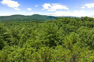 [Address not provided], Mineral Bluff, GA 30559 - Photo 53