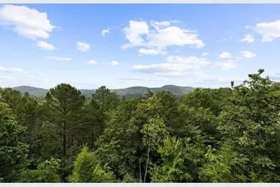 [Address not provided], Mineral Bluff, GA 30559 - Photo 51