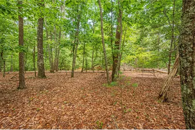 731 Jim Anderson Road, Dahlonega, GA 30533 - Photo 55