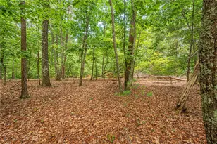 731 Jim Anderson Rd, Dahlonega, GA 30533 - Photo 55