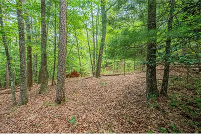 731 Jim Anderson Road, Dahlonega, GA 30533 - Photo 47