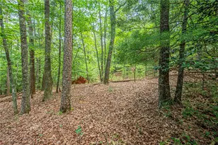 731 Jim Anderson Rd, Dahlonega, GA 30533 - Photo 47
