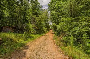 731 Jim Anderson Rd, Dahlonega, GA 30533 - Photo 63
